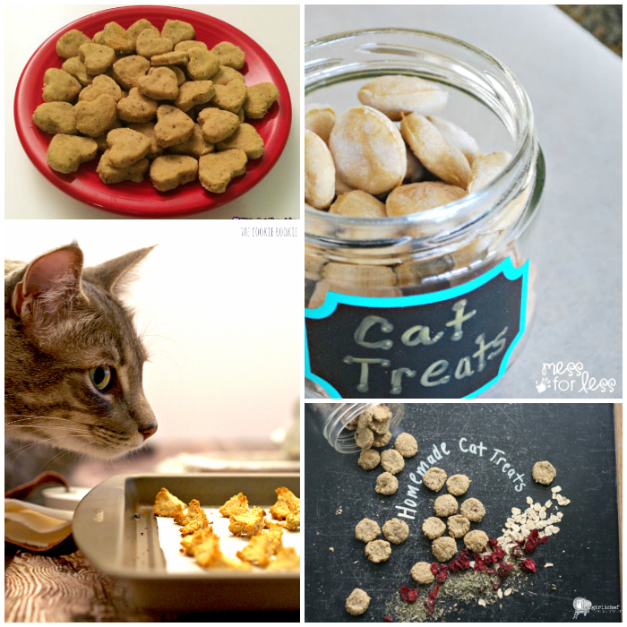 Spoil your fabulous feline with these homemade cat treats.