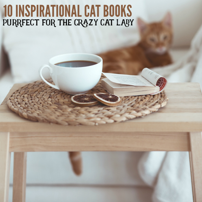 10 Inspirational Cat Books Purrfect for the Crazy Cat Lady 