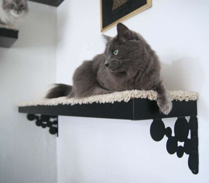 Cat Lounge Shelf