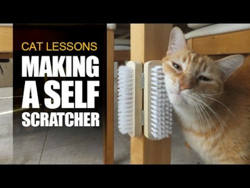 Self-Scratcher For Cats