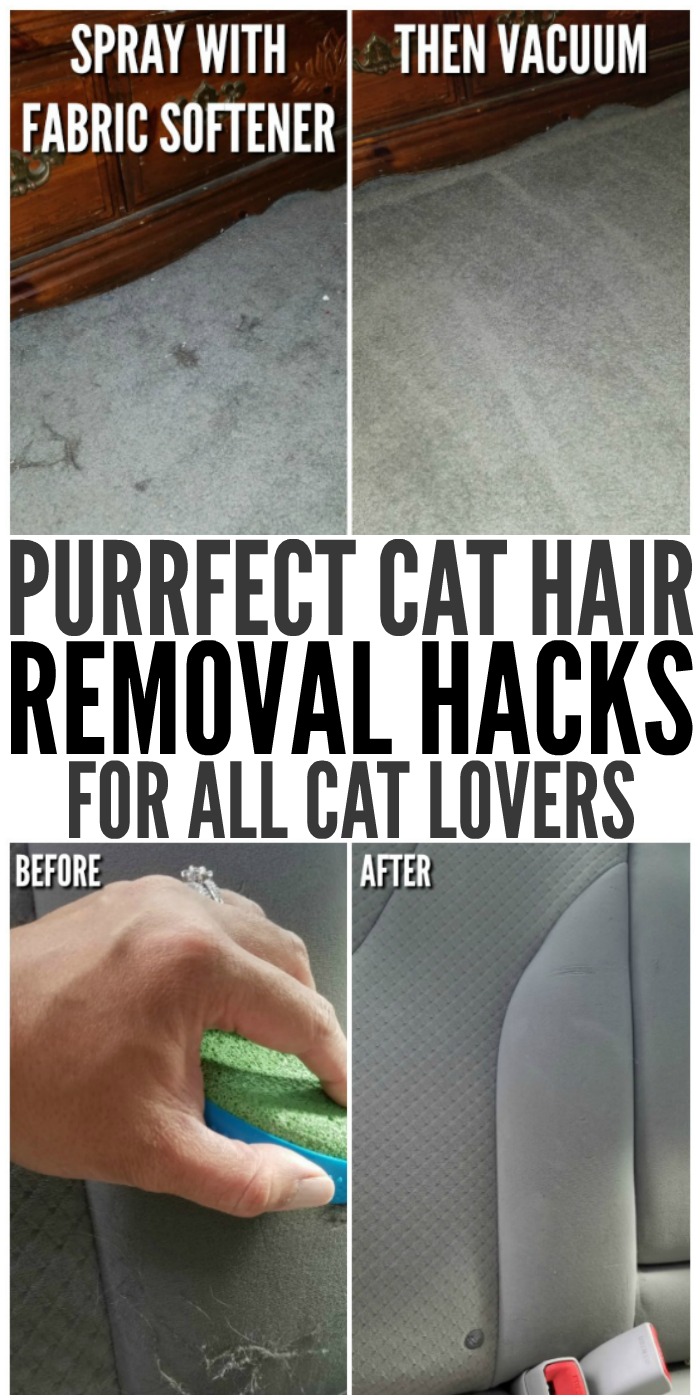 Purrfect Cat Hair Removal Hacks for All Cat Lovers