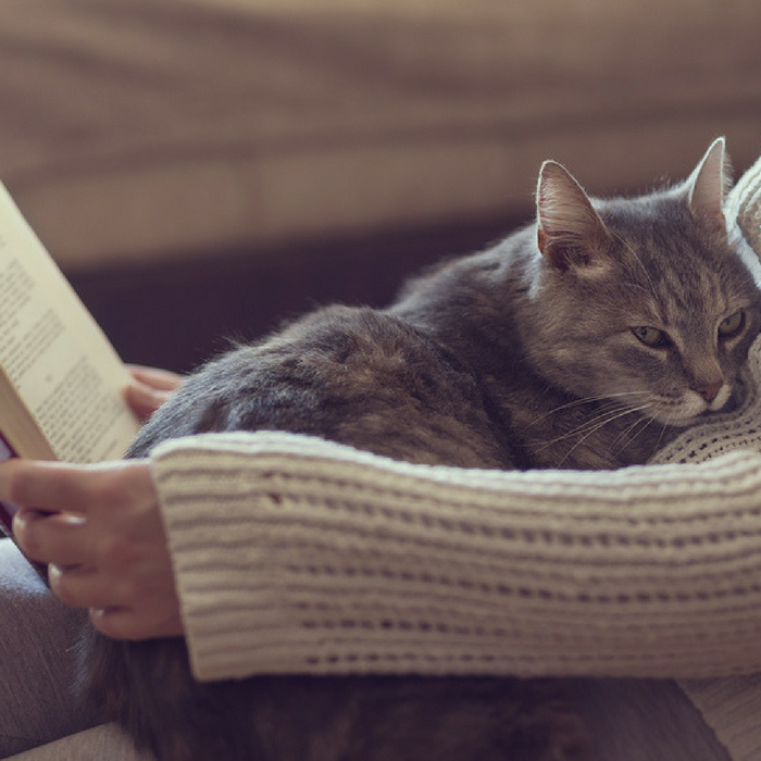 Books for Cat Lovers 