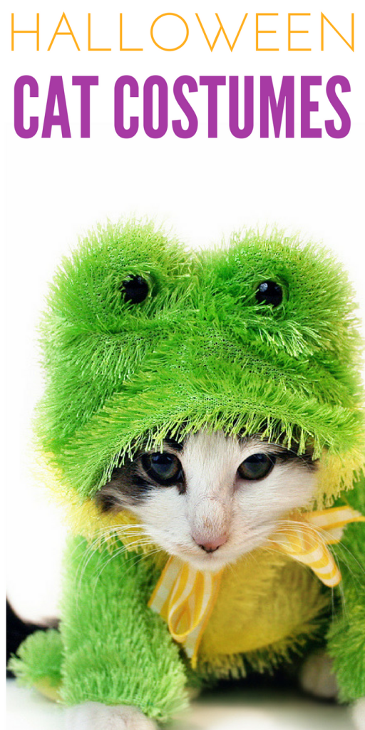Cute Halloween Costumes For Cats