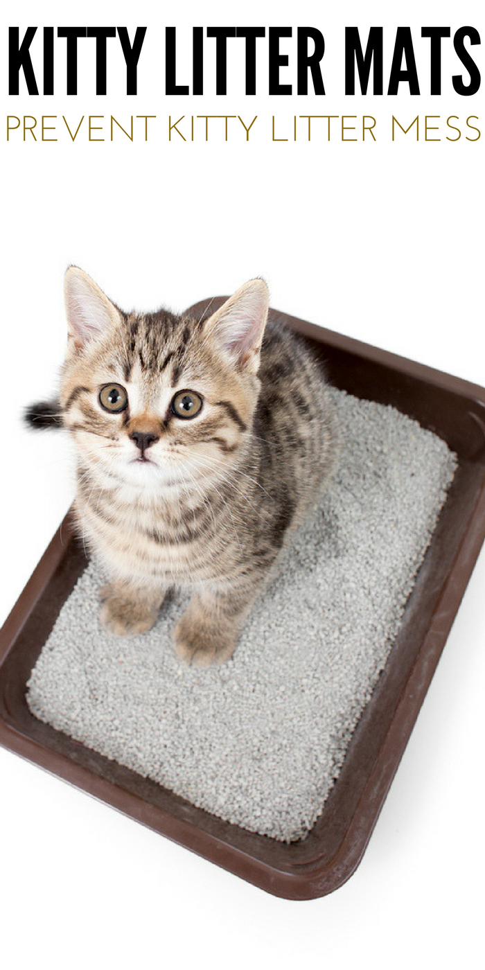best kitty litter mats 