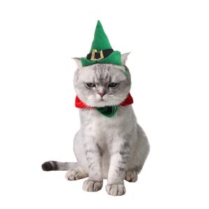 cat Christmas outfit