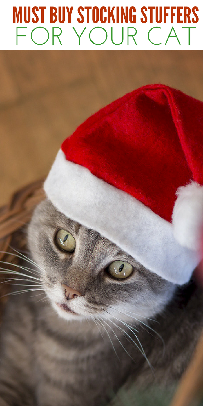 cat Christmas stocking stuffers