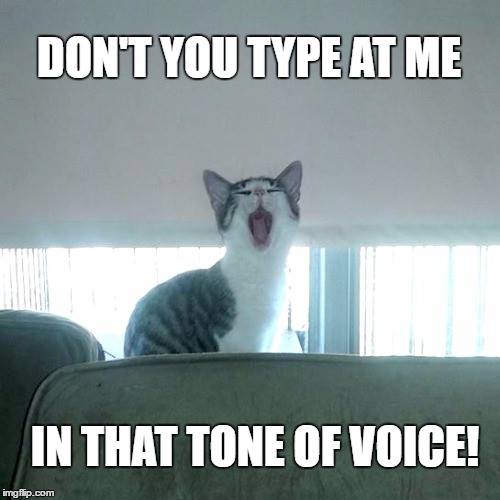  #CrazyCatLady #CatMemes #CatCare hilarious cat memes