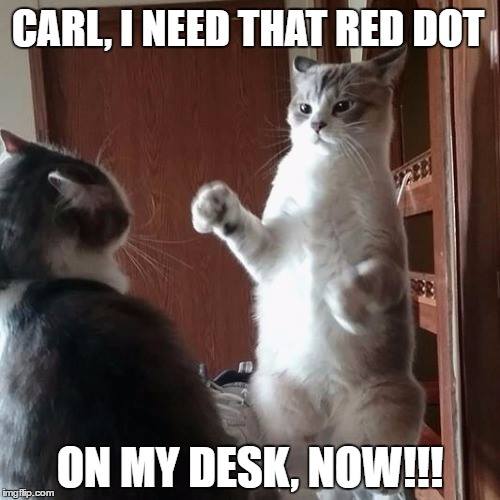  #CrazyCatLady #CatMemes #CatCare hilarious cat memes