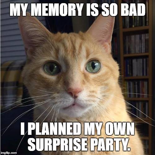 #CrazyCatLady #CatLover #CatMemes best cat memes
