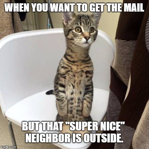 #CrazyCatLady #CatLover #CatMemes