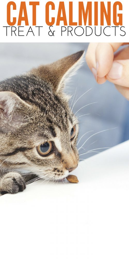 Top Rated Cat Calming Treats and Products for Anxiety and Stress